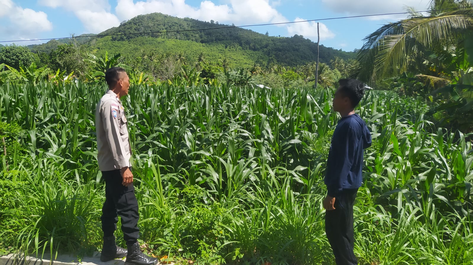 Optimalisasi Lahan Pertanian, Polri Dampingi Petani di Desa Batu Putih