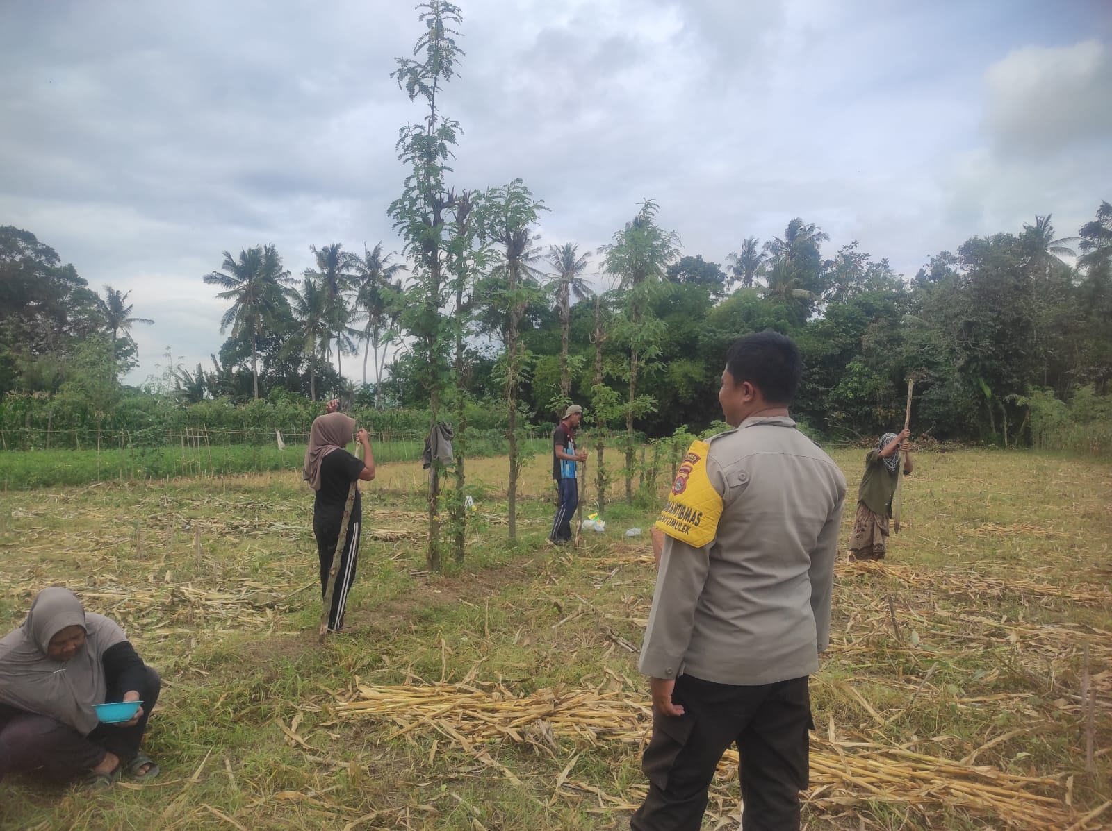 Bhabinkamtibmas Banyumulek Dampingi Petani Jagung, Dukung Ketahanan Pangan