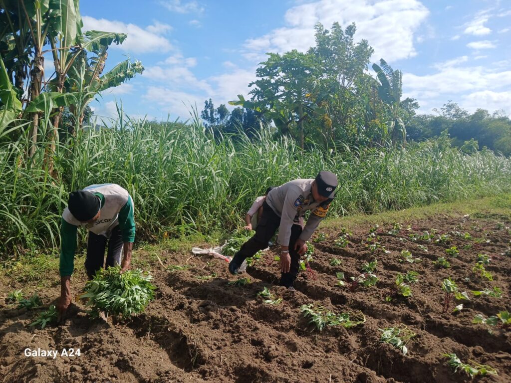 Bhabinkamtibmas Dorong Ketahanan Pangan Keluarga di Giri Tembesi, Lombok Barat