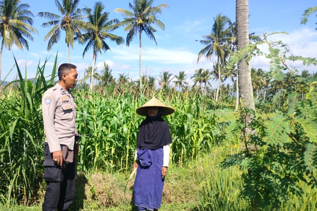 Bhabinkamtibmas Eyat Mayang Dukung Petani Jagung untuk Ketahanan Pangan