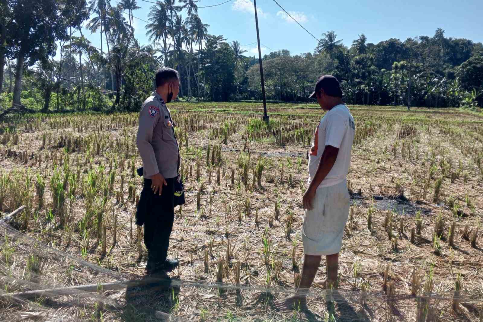 Bhabinkamtibmas Kuripan Dorong Warga Mandiri Pangan