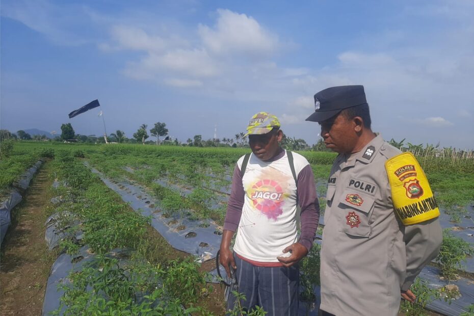 Bhabinkamtibmas Montong Are Dorong Swasembada Pangan di Kediri Lombok Barat