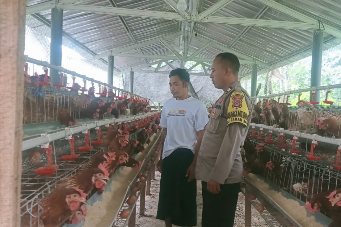 Bhabinkamtibmas Sekotong Dorong Ketahanan Pangan Lewat DDS