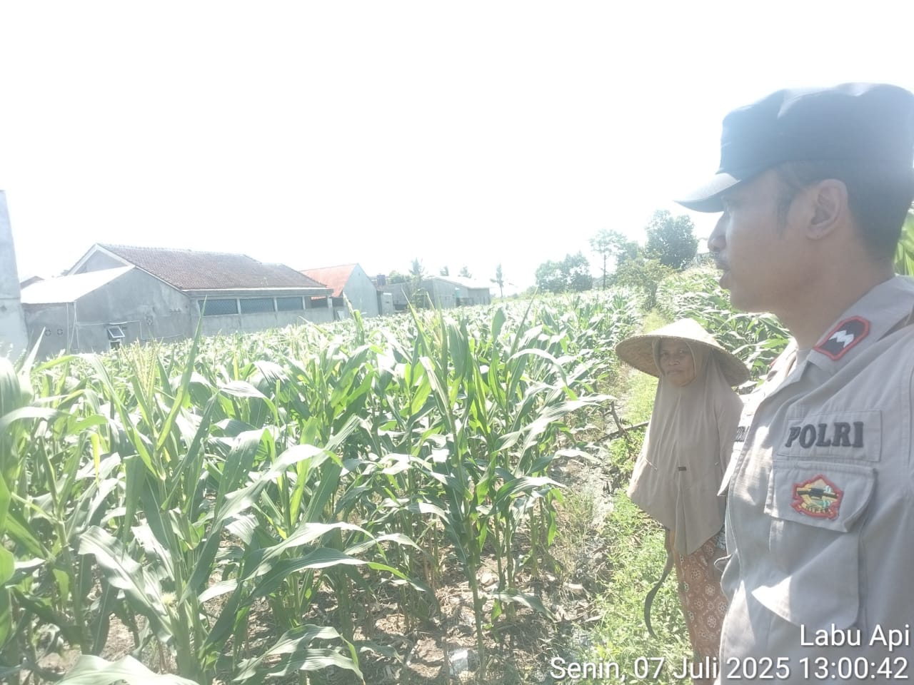 Kolaborasi Polri dan Petani di Labuapi Perkuat Ketahanan Pangan Desa