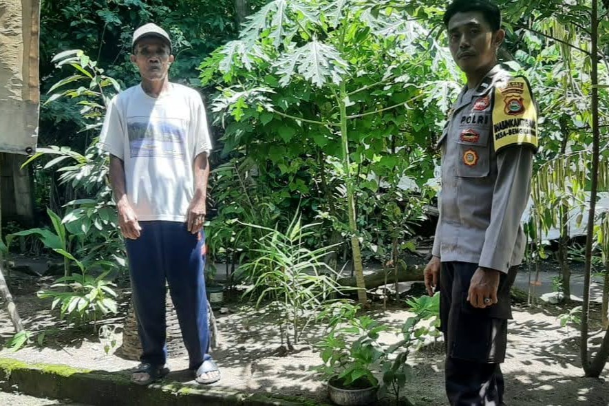 Pekarangan Bergizi, Inovasi Ketahanan Pangan dari Desa Bengkaung