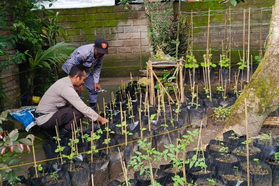 Polri, petani, pekarangan, ketahanan, pangan, Kuripan, edukasi, Lombok, masyarakat, Bhabinkamtibmas