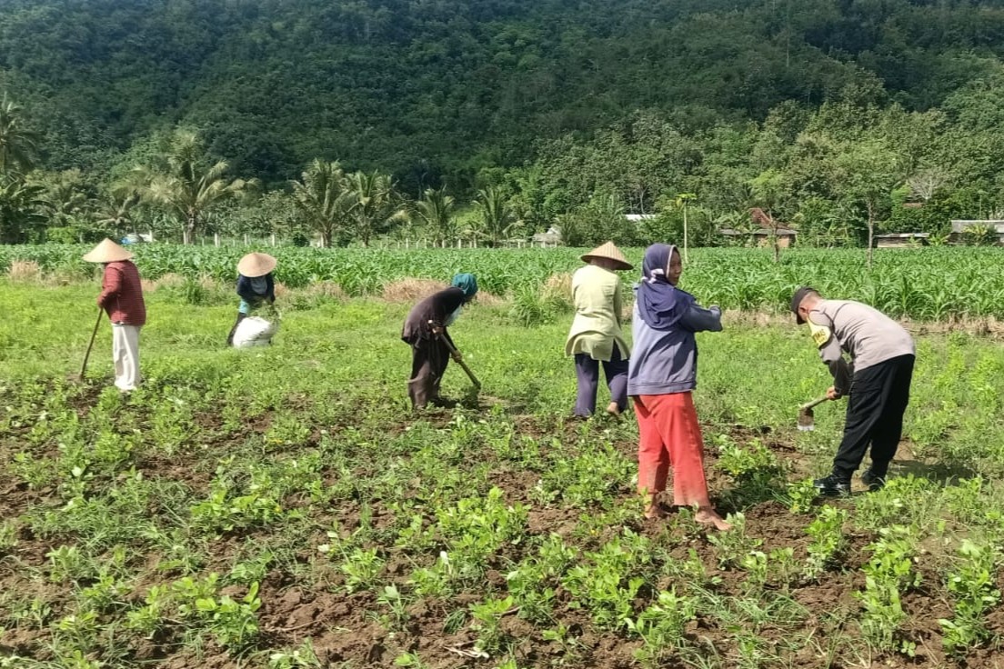Polri Dukung Ketahanan Pangan di Sekotong