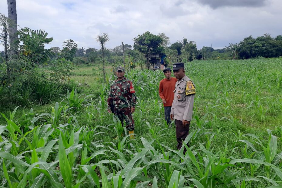 Polri Gencarkan Ketahanan Pangan di Lombok Barat, Bhabinkamtibmas Ajak Warga Sukseskan Swasembada Nasional