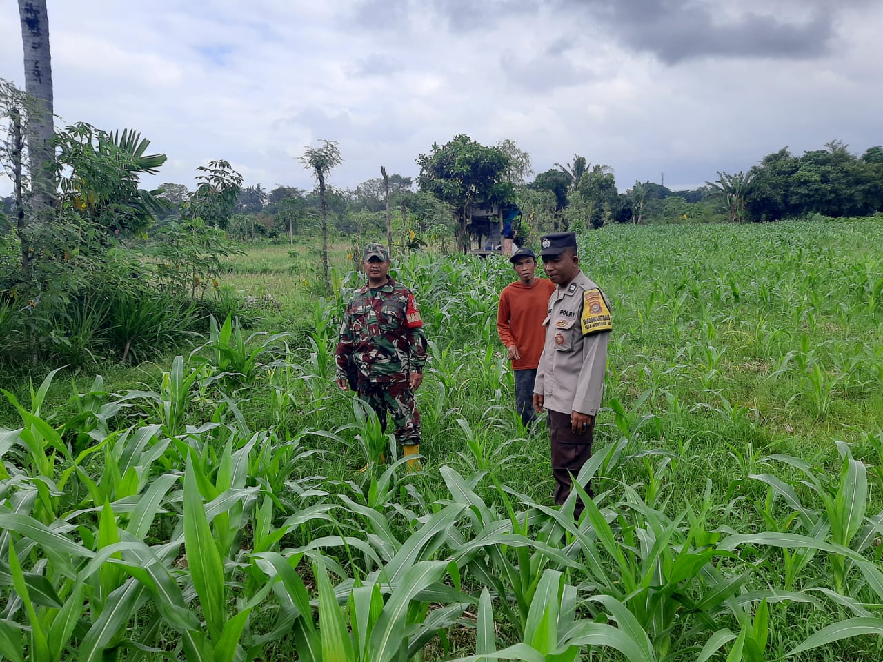 Polri Gencarkan Ketahanan Pangan di Lombok Barat, Bhabinkamtibmas Ajak Warga Sukseskan Swasembada Nasional