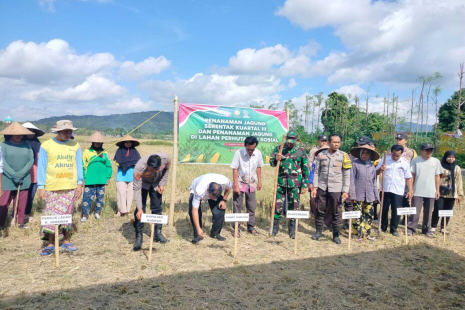 Sinergi Polri, TNI, dan Warga Dukung Swasembada Pangan di Jagaraga, Kuripan