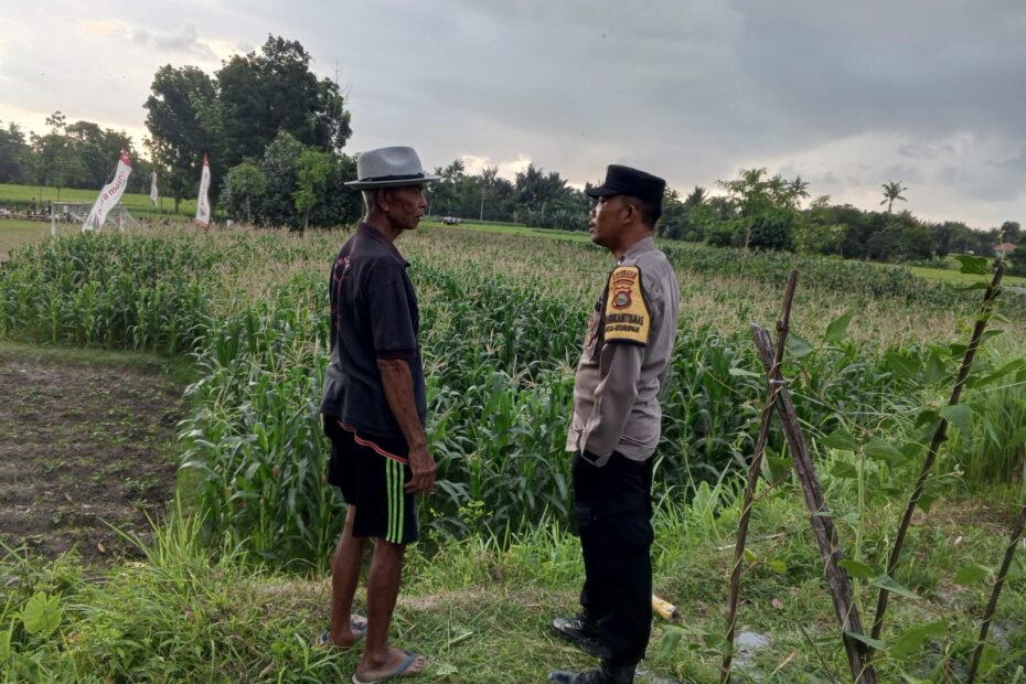 Sinergi Polri dan Warga Kuripan Perkuat Ketahanan Pangan Lokal