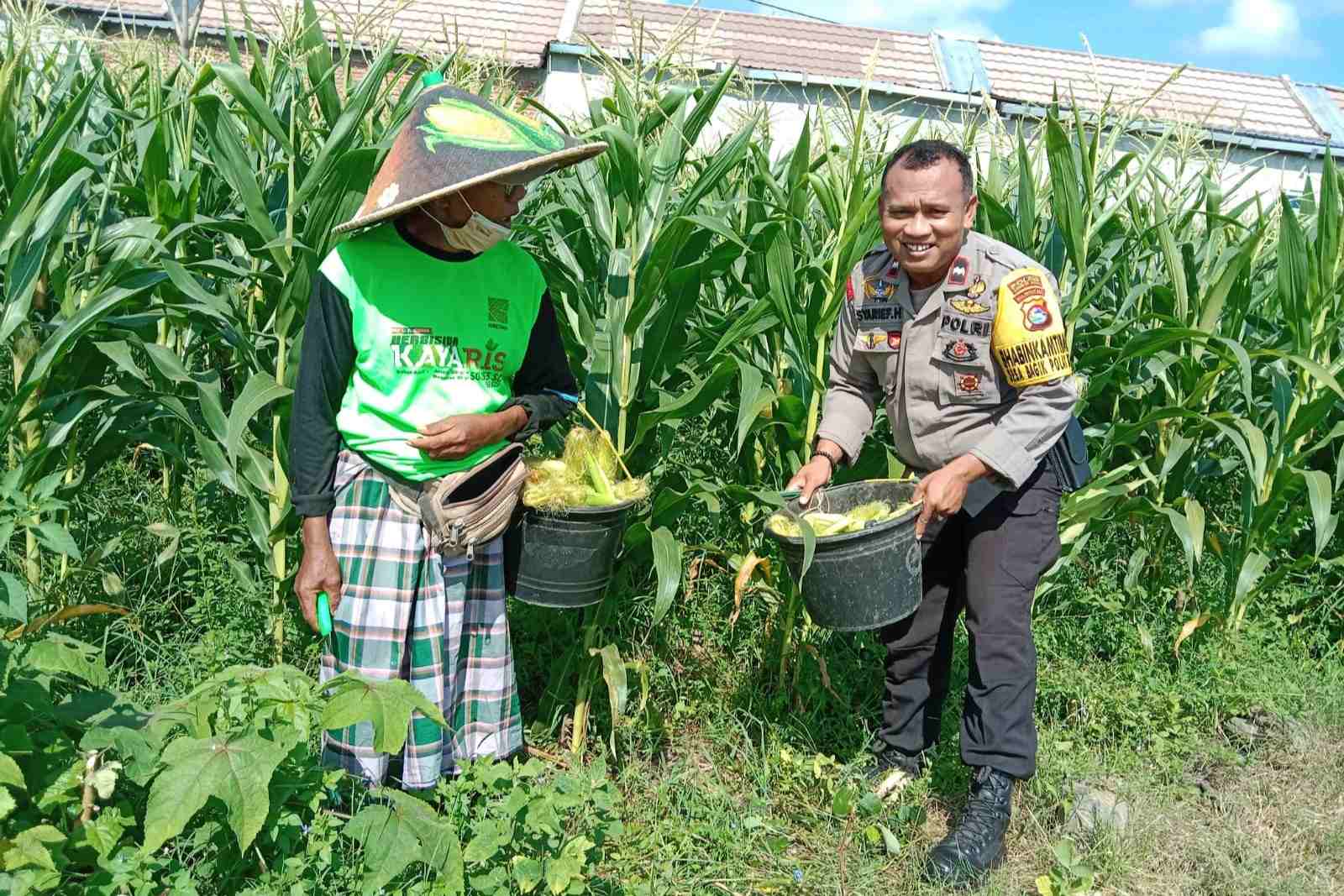 Sinergi Polri dan Warga Wujudkan Kemandirian Pangan di Labuapi