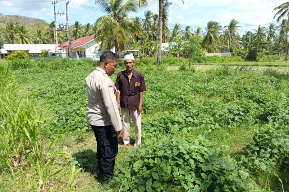 Polsek Sekotong Dampingi Petani di Pesisir Mas, Dorong Ketahanan Pangan Desa