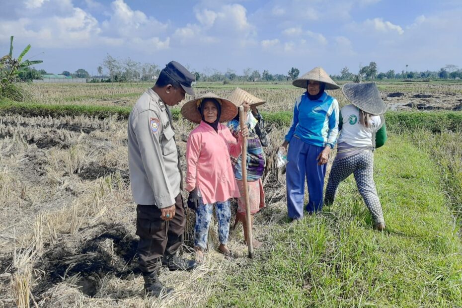 Bhabinkamtibmas Montong Are Dorong Ketahanan Pangan Lewat Pendampingan Petani