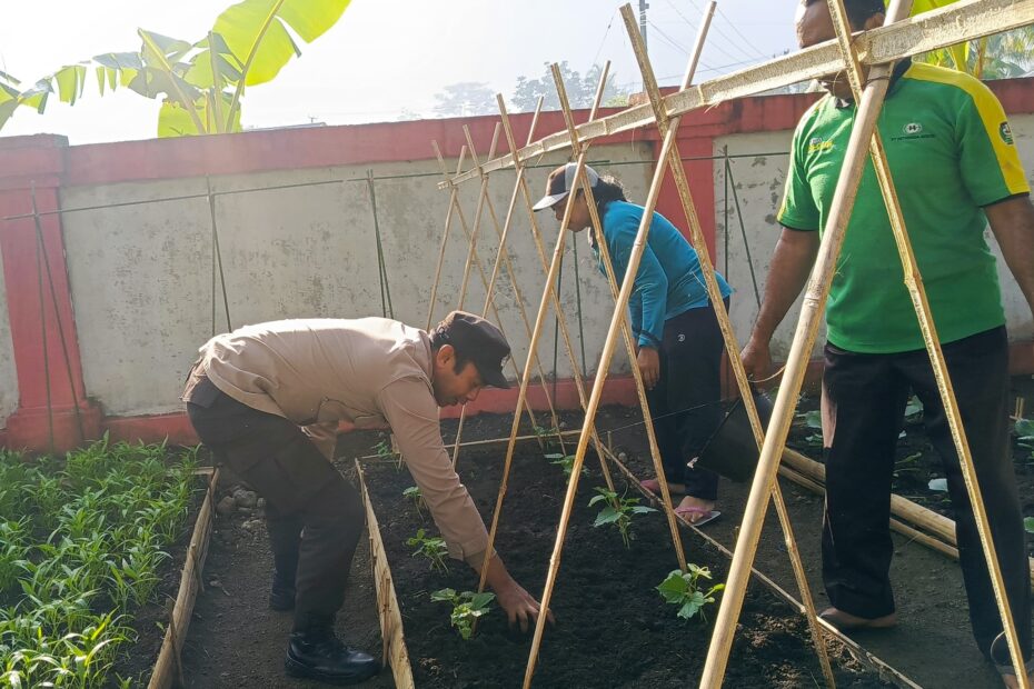 Pemanfaatan Pekarangan Jadi Solusi Ketahanan Pangan di Desa Kuripan Utara