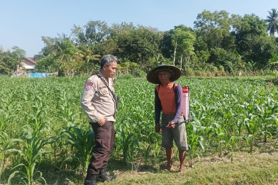 Bhabinkamtibmas Sandik Ajak Warga Dusun Tato Barat Wujudkan Swasembada Pangan