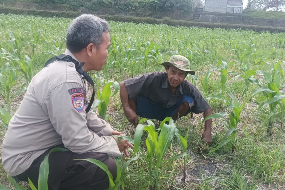 Dorong Ketahanan Pangan, Bhabinkamtibmas Desa Sandik Ajak Warga Manfaatkan Pekarangan