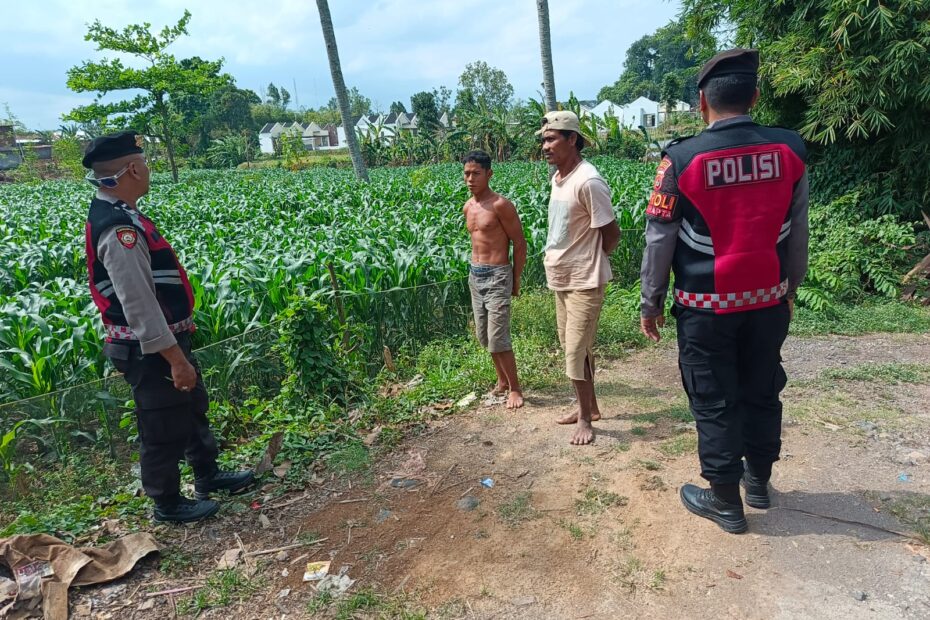 Polres Lobar Kawal Petani Wujudkan Ketahanan Pangan Nasional
