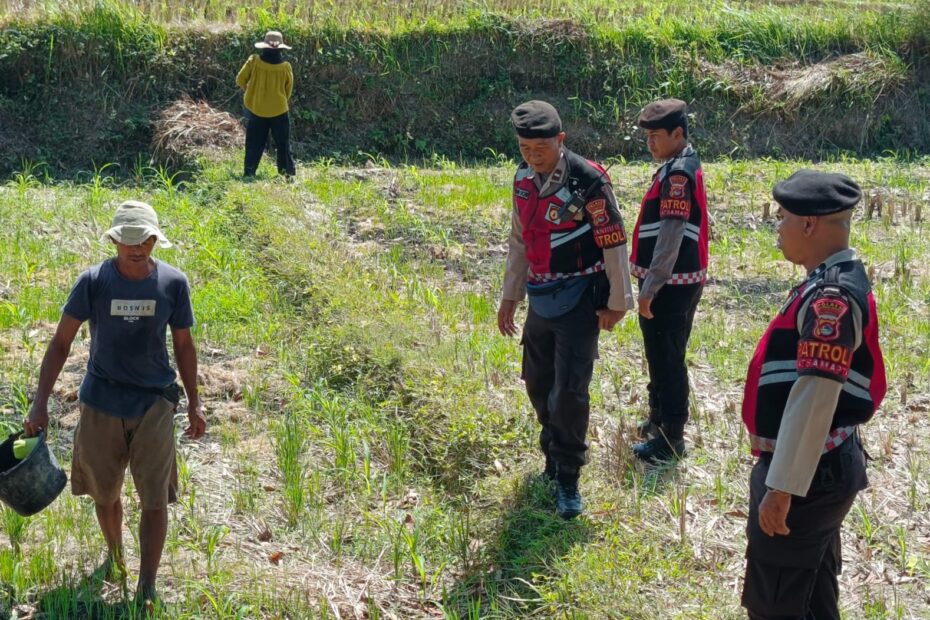 Polres Lombok Barat Dukung Ketahanan Pangan Lewat Patroli Humanis di Desa Kuripan