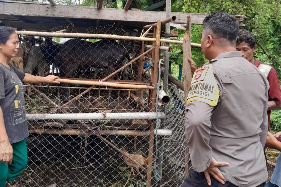 Polsek Batulayar Gencar Dukung Ketahanan Pangan, Bhabinkamtibmas Ajak Warga Manfaatkan Lahan Kosong