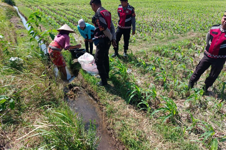 Polsek Kuripan Dukung Ketahanan Pangan Lewat Patroli di Lahan Jagung