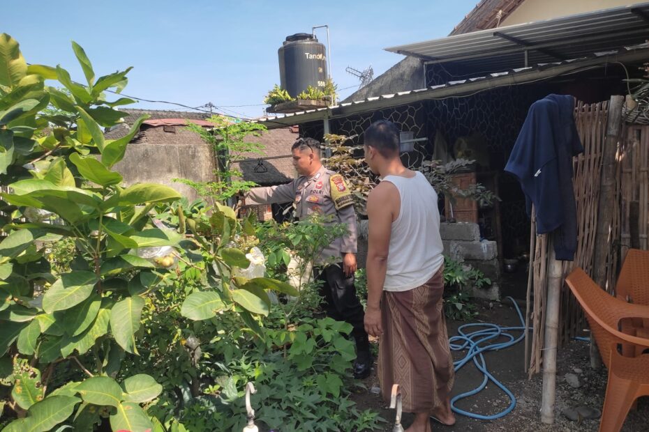 Sinergi Bhabinkamtibmas dan Warga, Kolaborasi Aktif Wujudkan Ketahanan Pangan di Desa Kuranji