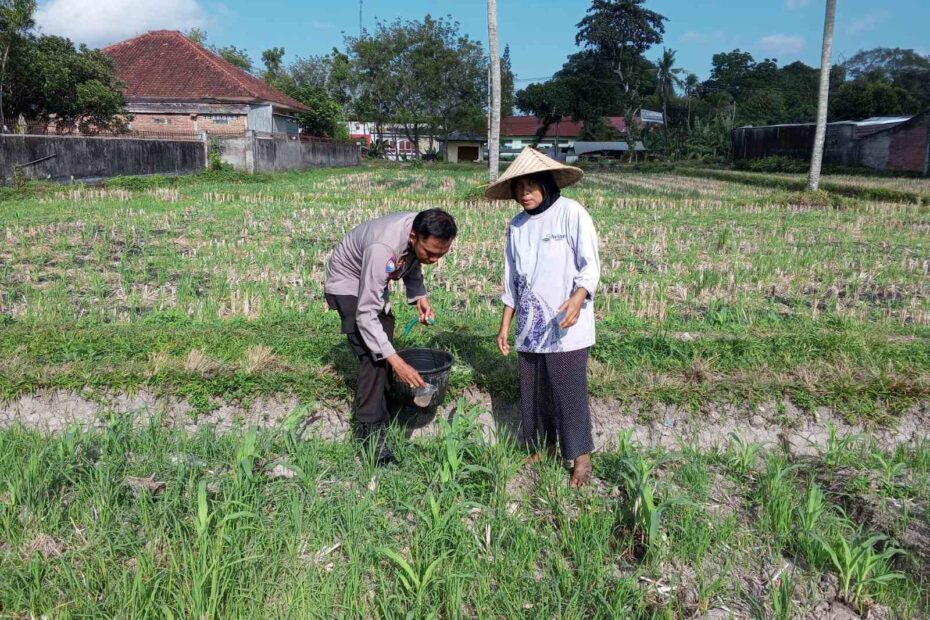 Bhabinkamtibmas Kuripan Dorong Warga Manfaatkan Pekarangan untuk Ketahanan Pangan