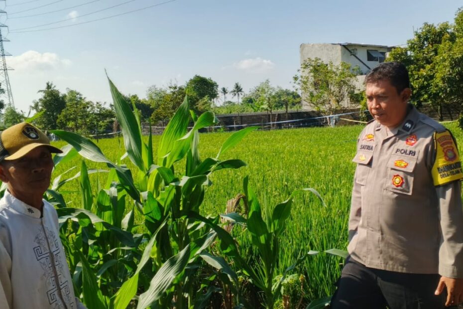 Bhabinkamtibmas Telagawaru Dorong Petani Optimalisasi Lahan untuk Ketahanan Pangan