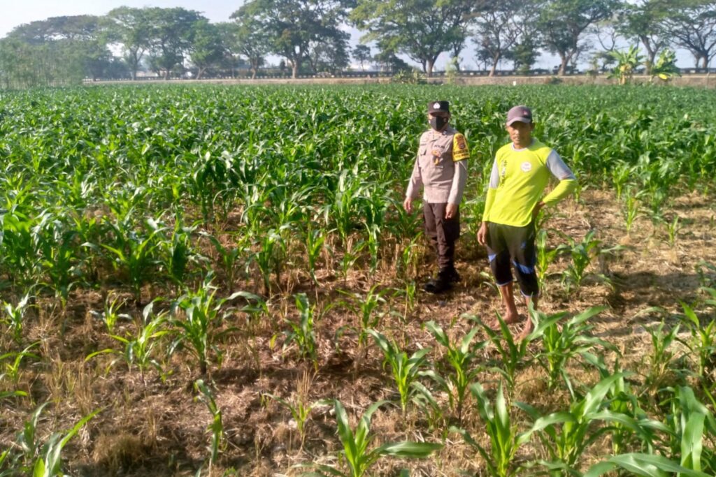 Bhabinkamtibmas Desa Jagaraga Dorong Petani Manfaatkan Lahan untuk Ketahanan Pangan