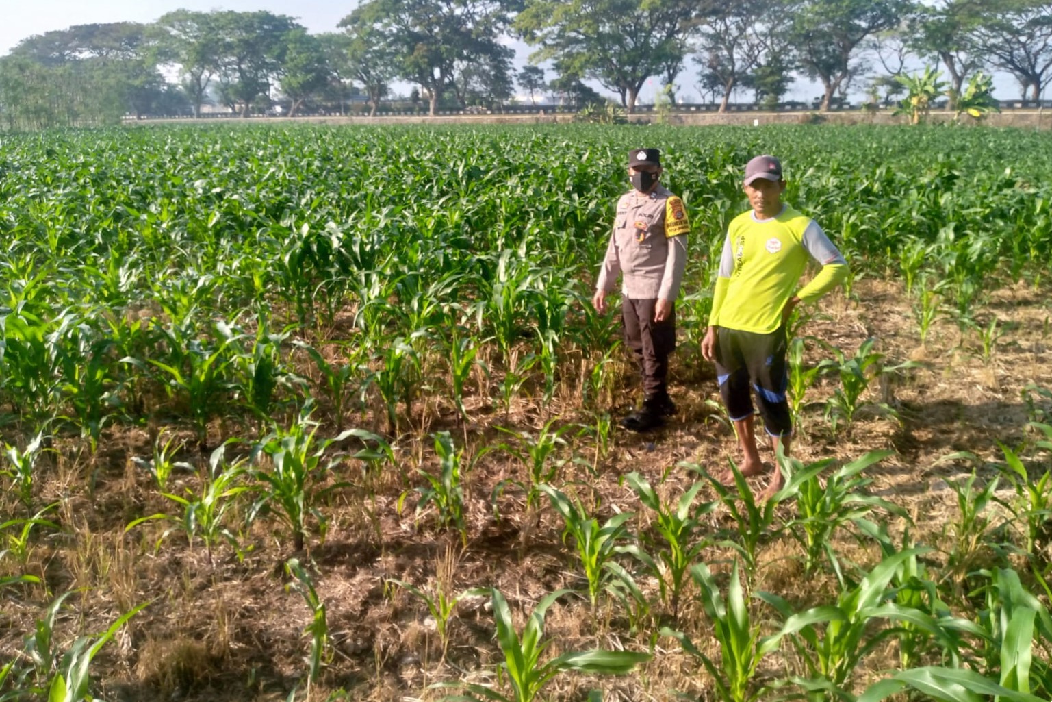 Bhabinkamtibmas Desa Jagaraga Dorong Petani Manfaatkan Lahan untuk Ketahanan Pangan