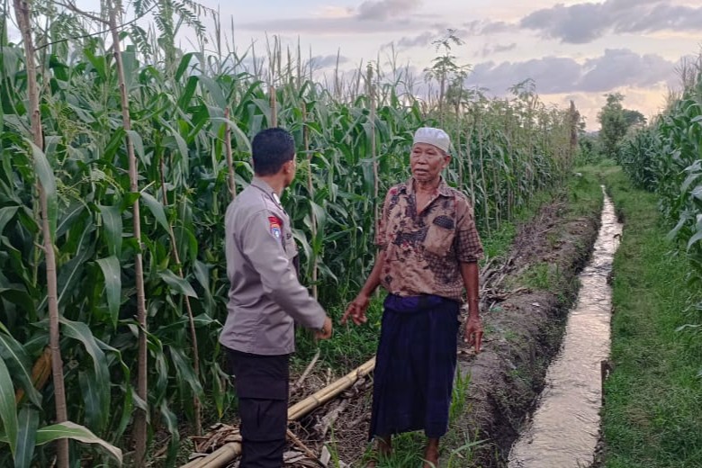 Bhabinkamtibmas Desa Babussalam Dorong Ketahanan Pangan Bersama Petani Dusun Bangket Bawak