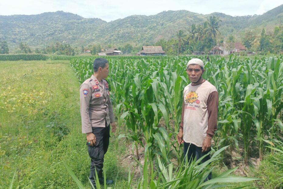 Bhabinkamtibmas Dorong Kemandirian Pangan di Desa Kuripan Selatan