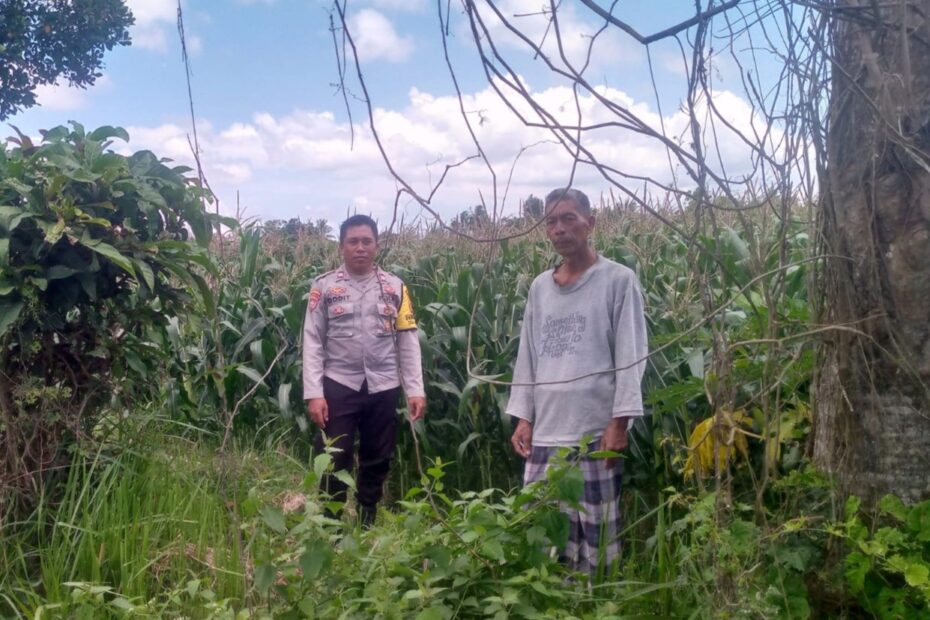 Polsek Kuripan Dorong Ketahanan Pangan Lewat Pemanfaatan Lahan Desa Jagaraga