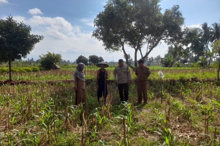 Sinergi Polri dan PPL Perkuat Ketahanan Pangan di Desa Gelogor, Kediri