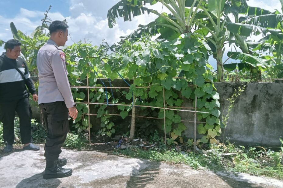 Inovasi Ketahanan Pangan di Dusun Karang Bayan, Desa Perampuan