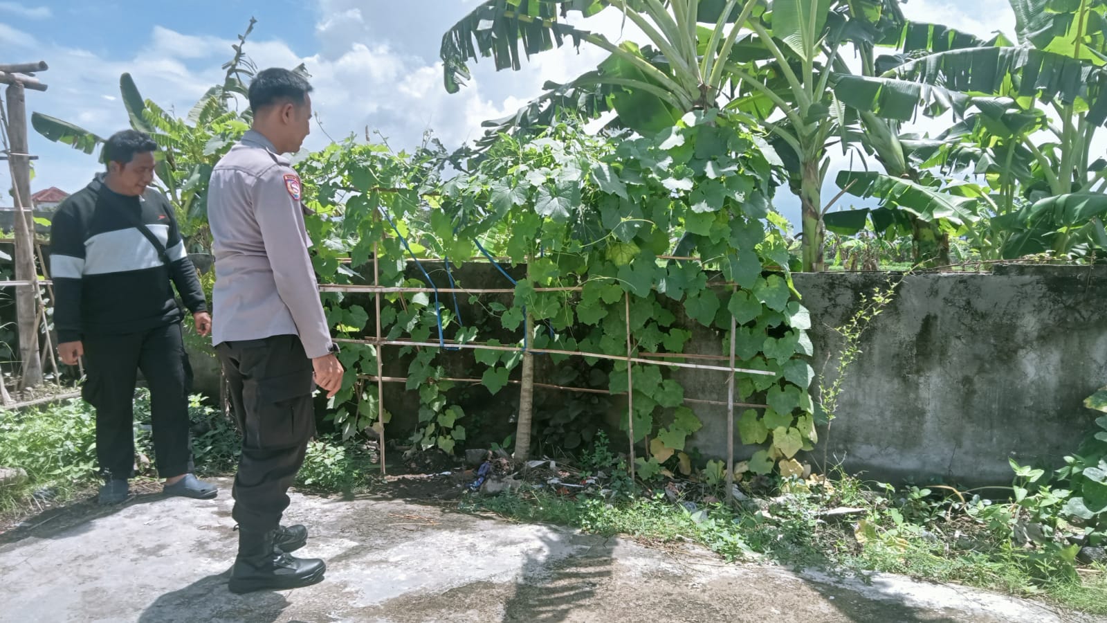 Inovasi Ketahanan Pangan di Dusun Karang Bayan, Desa Perampuan