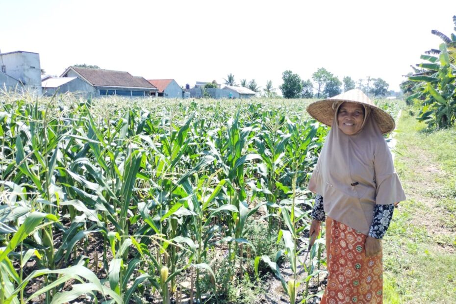 Polri Hadir di Tengah Petani Labuapi, Ajak Optimalkan Lahan Tidur Jadi Produktif