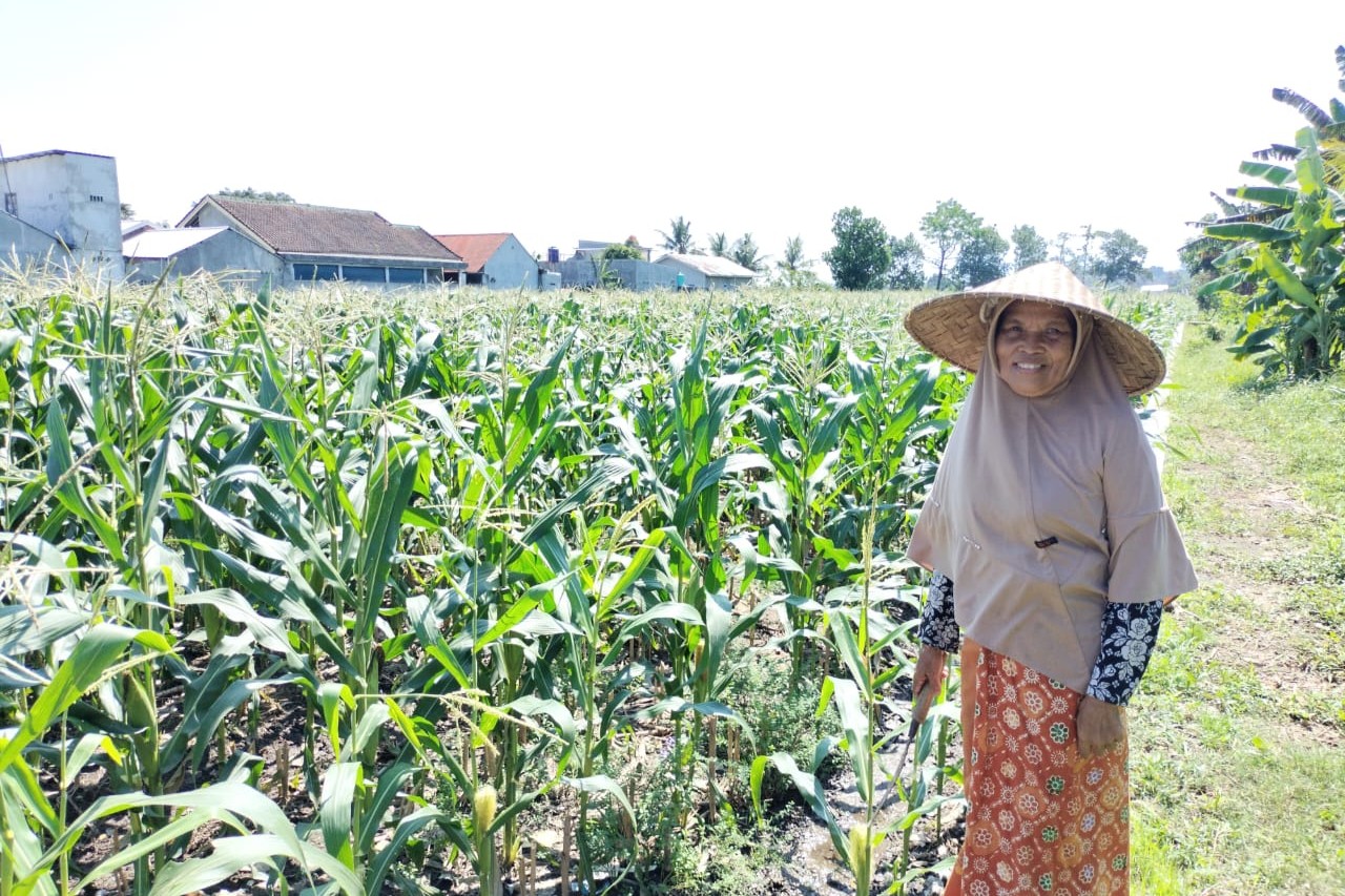 Polri Hadir di Tengah Petani Labuapi, Ajak Optimalkan Lahan Tidur Jadi Produktif