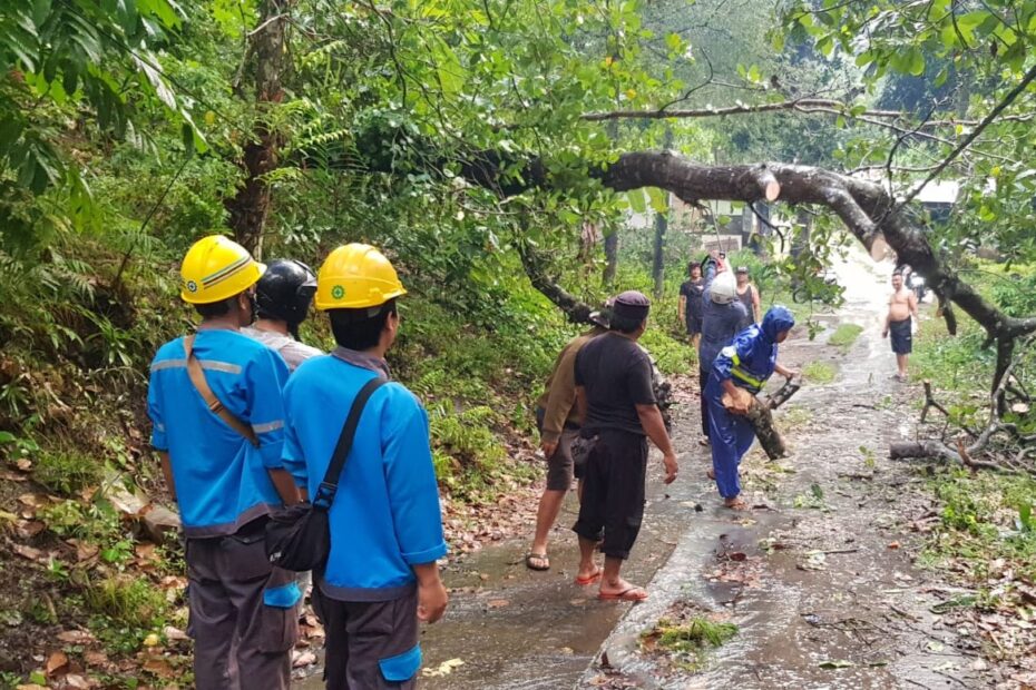 Polsek Batulayar Sigap Amankan Pohon Tumbang di Dusun Duduk, Lombok Barat