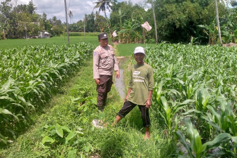 Polres Lombok Barat Ajak Petani Dusun Tegal Optimalkan Lahan untuk Pangan Keluarga