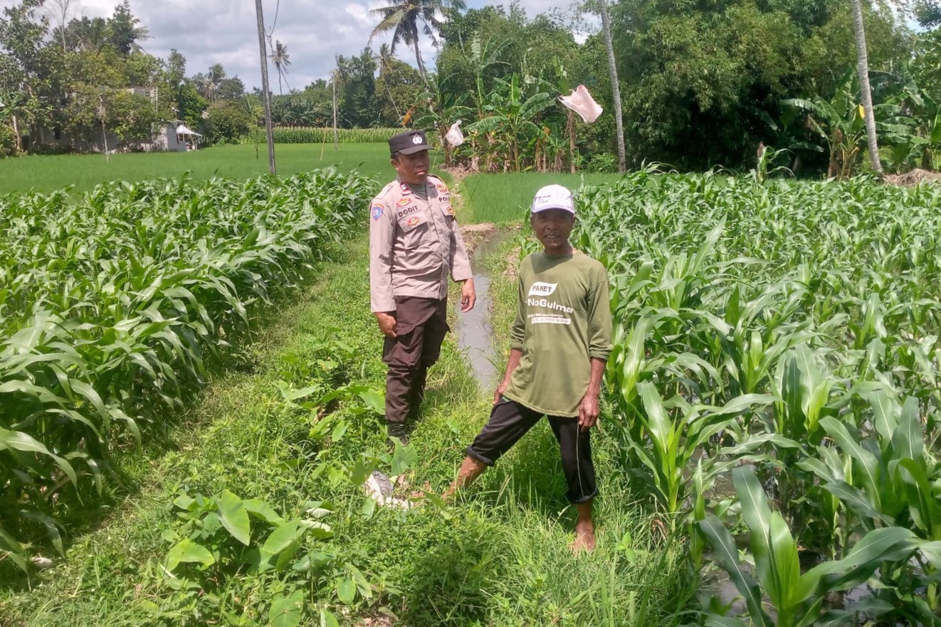 Polres Lombok Barat Ajak Petani Dusun Tegal Optimalkan Lahan untuk Pangan Keluarga