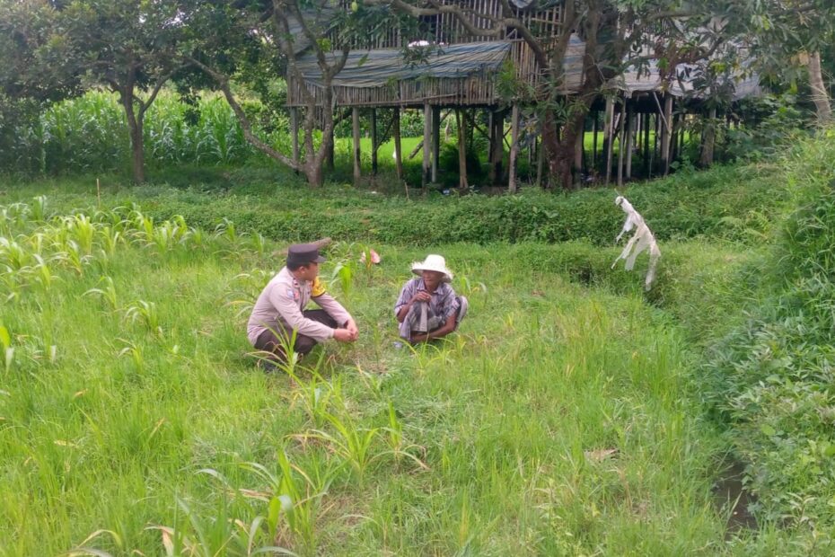 Jalin Silaturahmi, Bhabinkamtibmas Kuripan Ajak Warga Manfaatkan Lahan untuk Ketahanan Pangan