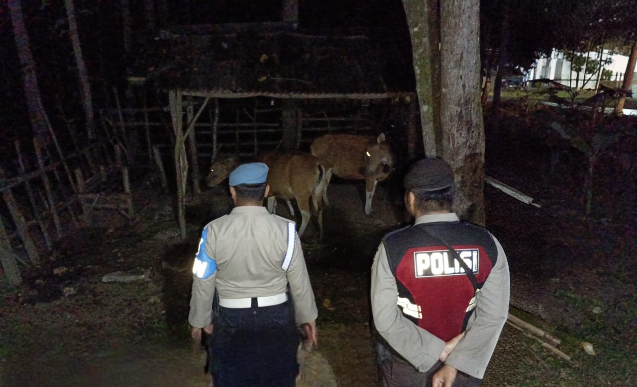 Patroli KRYD di Sekotong Tengah, Polisi Antisipasi Pencurian Ternak Warga