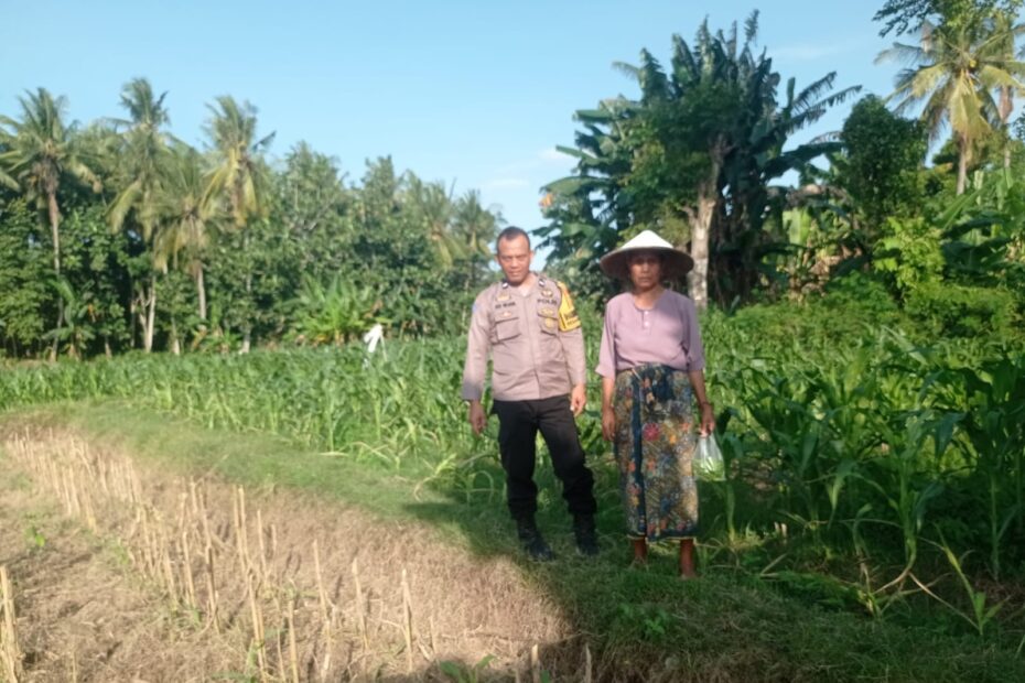 Polri dan Petani Kuranji Sinergi Wujudkan Desa Mandiri Pangan di Lombok Barat