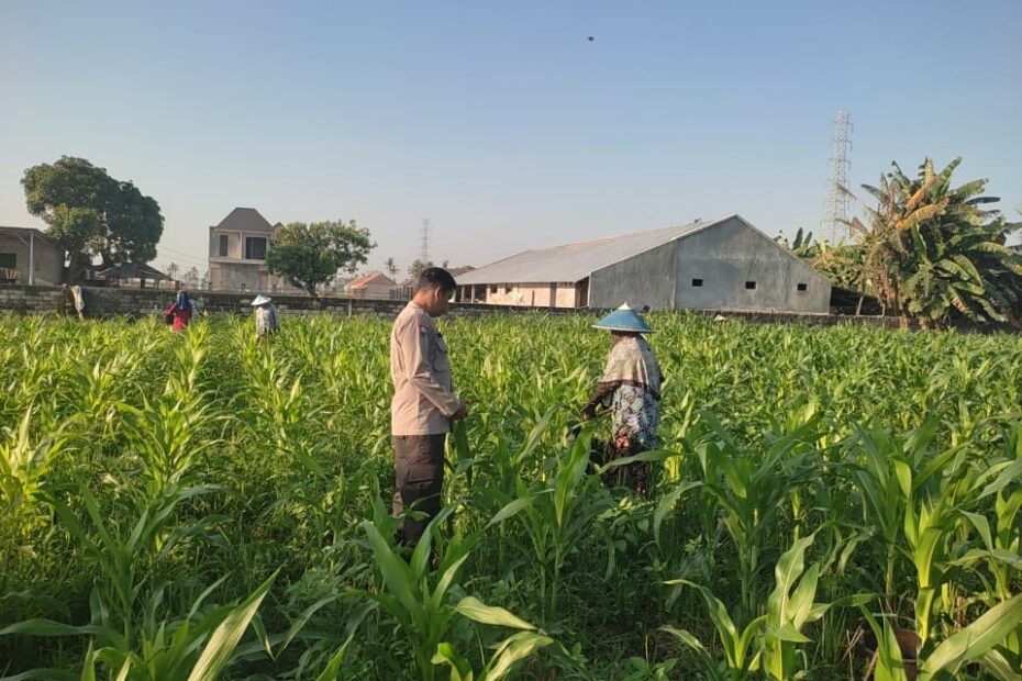 Bhabinkamtibmas Desa Kuranji Ajak Warga Olah Lahan Kosong Jadi Sumber Pangan