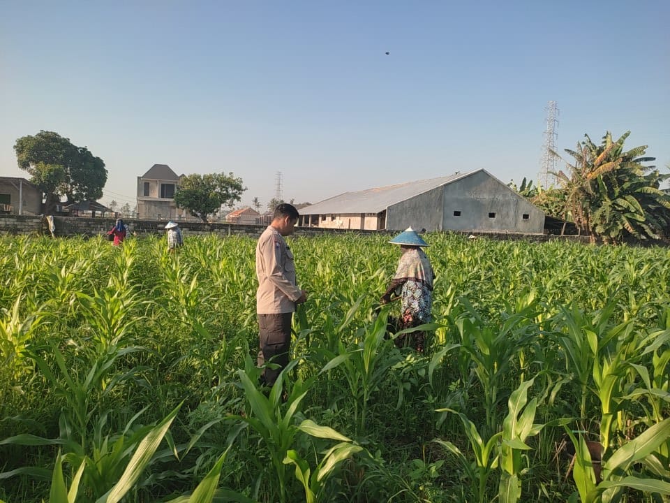 Bhabinkamtibmas Desa Kuranji Ajak Warga Olah Lahan Kosong Jadi Sumber Pangan