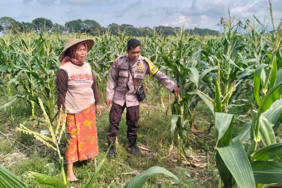 Polsek Labuapi Dorong Warga Karang Kebon Manfaatkan Lahan Kosong untuk Ketahanan Pangan