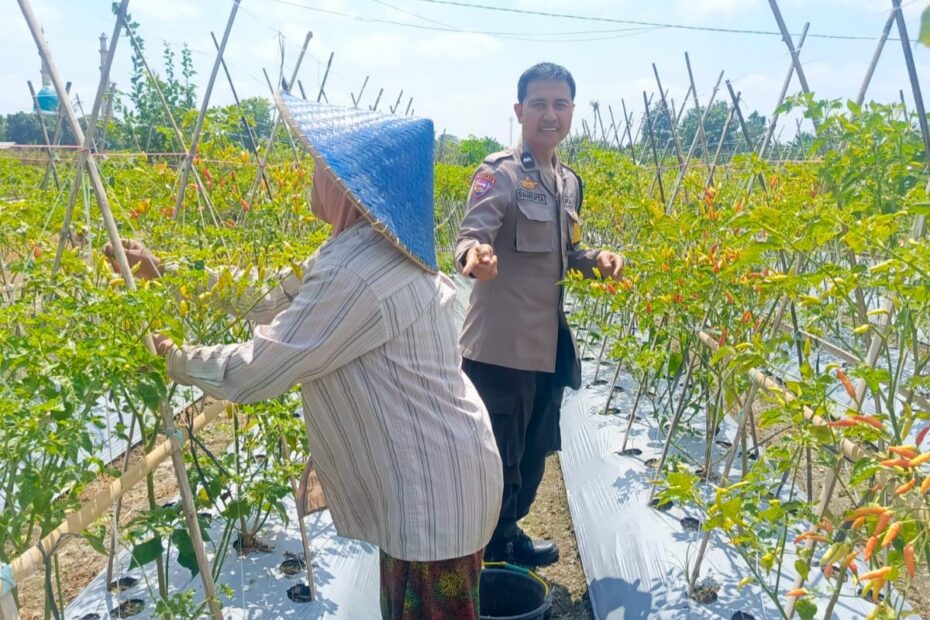Bhabinkamtibmas Perampuan Ajak Warga Karang Bayan Manfaatkan Pekarangan untuk Ketahanan Pangan