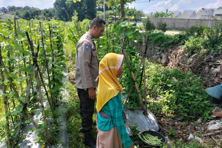 Sinergi Polri dan Petani Desa Labuapi dalam Mendukung Ketahanan Pangan Nasional