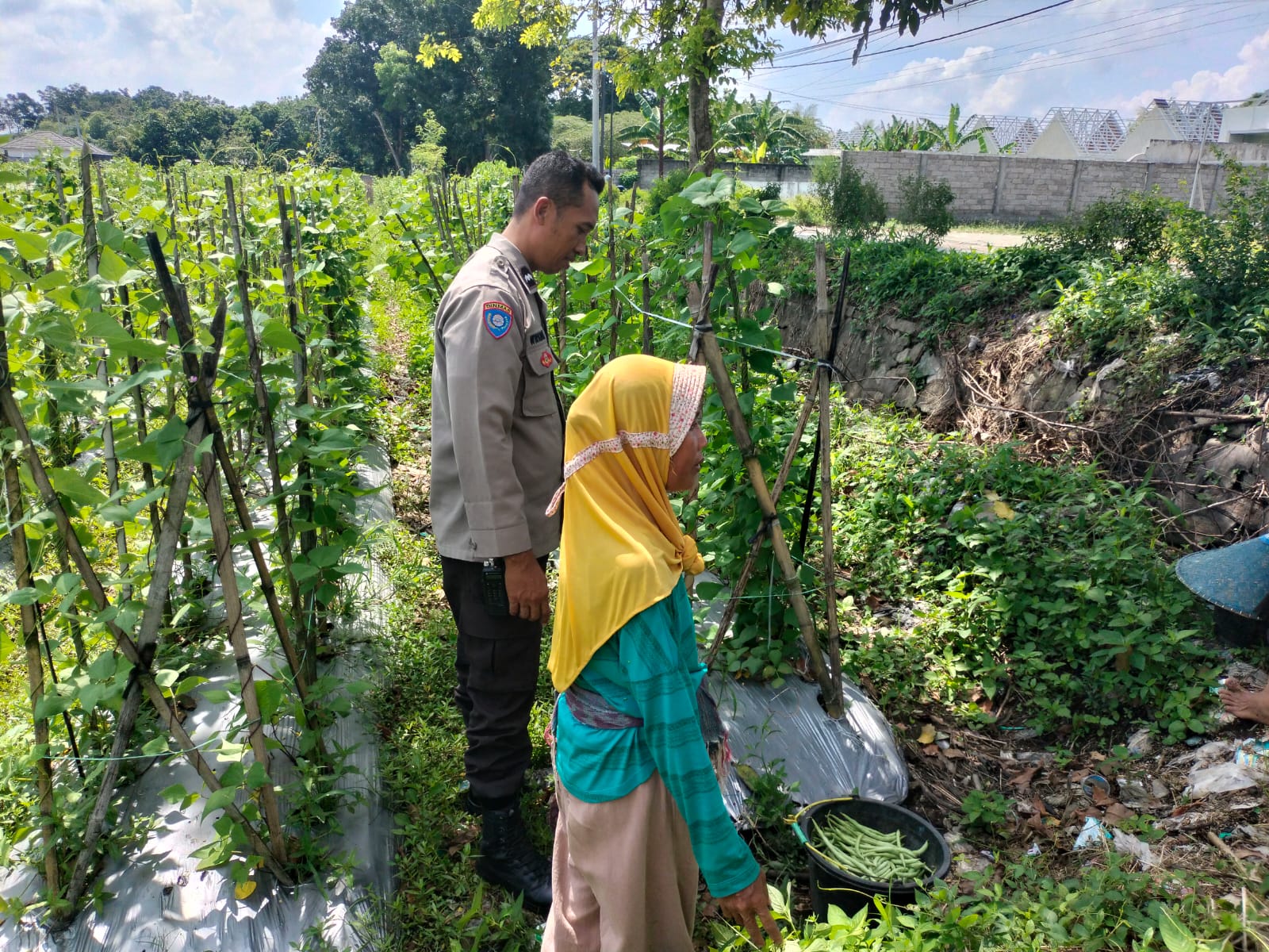 Sinergi Polri dan Petani Desa Labuapi dalam Mendukung Ketahanan Pangan Nasional